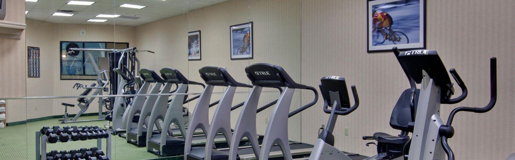 Holiday Inn Windsor - Ambassador Bridge By Ihg Exteriér fotografie